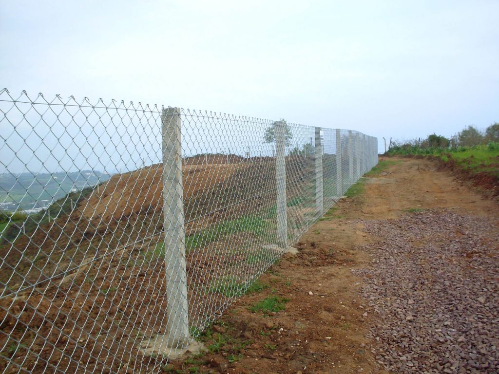 Ayan Tel